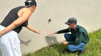 Lakeland Natural Pest Control Spray | Superior Spray | FL