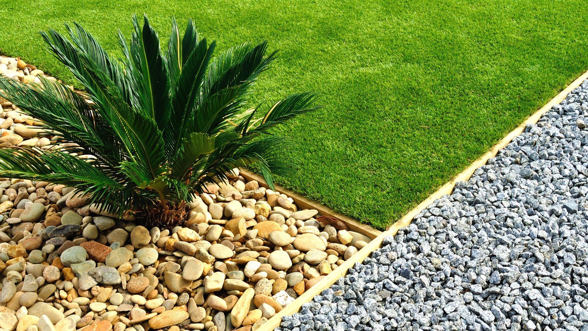 Eco-Friendly Ways to Keep Pests at Bay