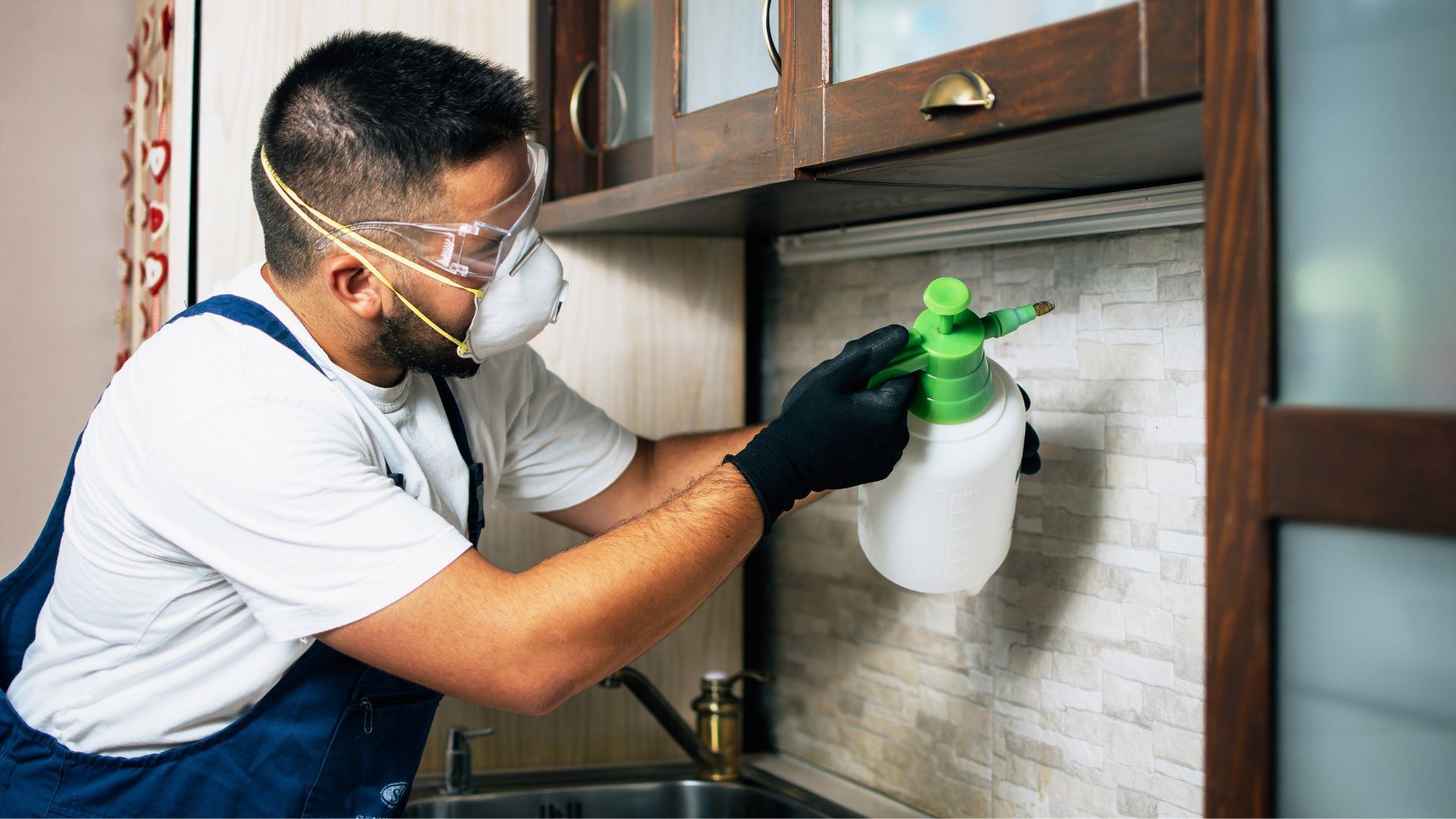 Defend Your Home: Top Termite Protection for North Florida