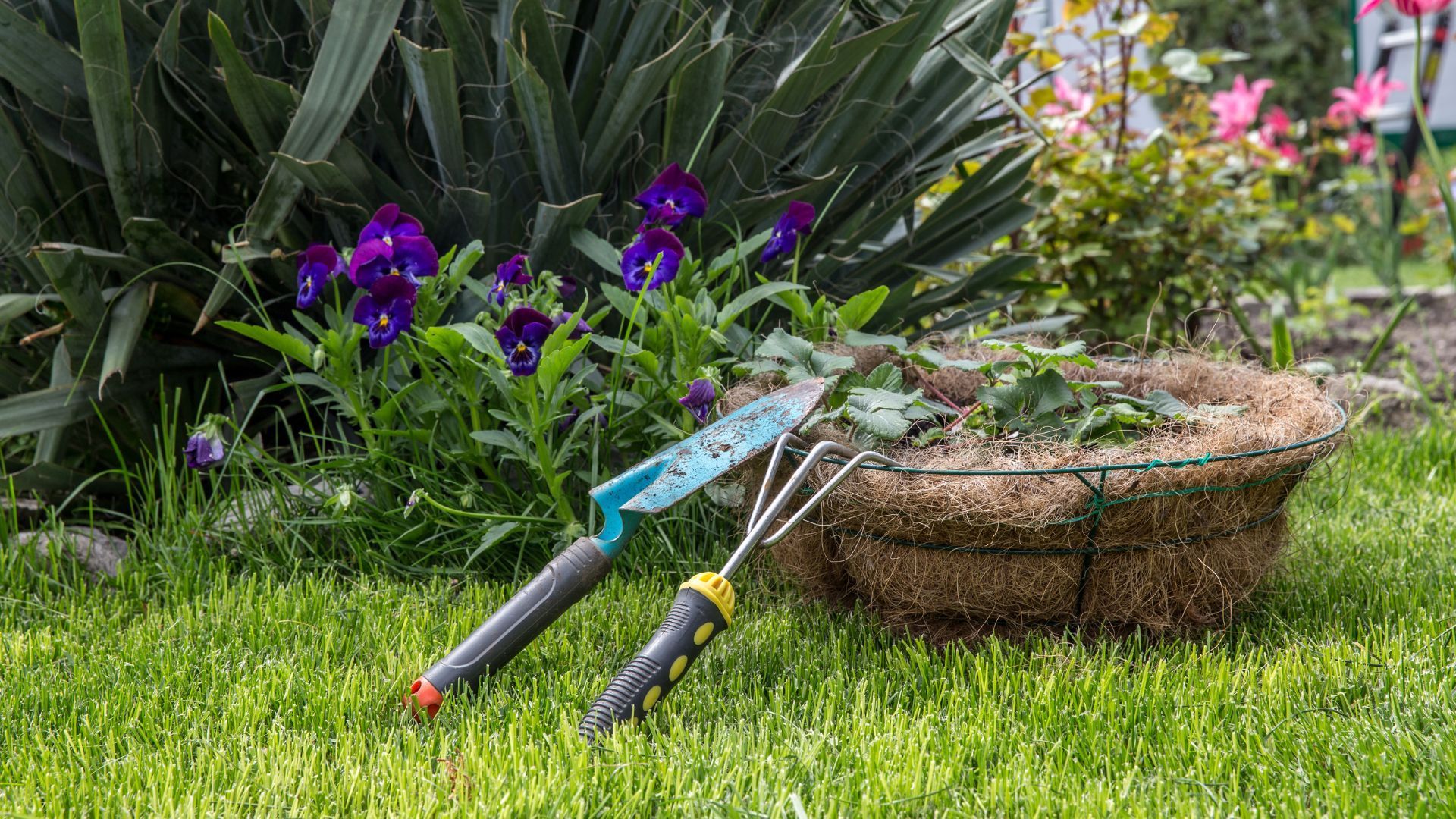 Enhancing Your Garden with Pest Control