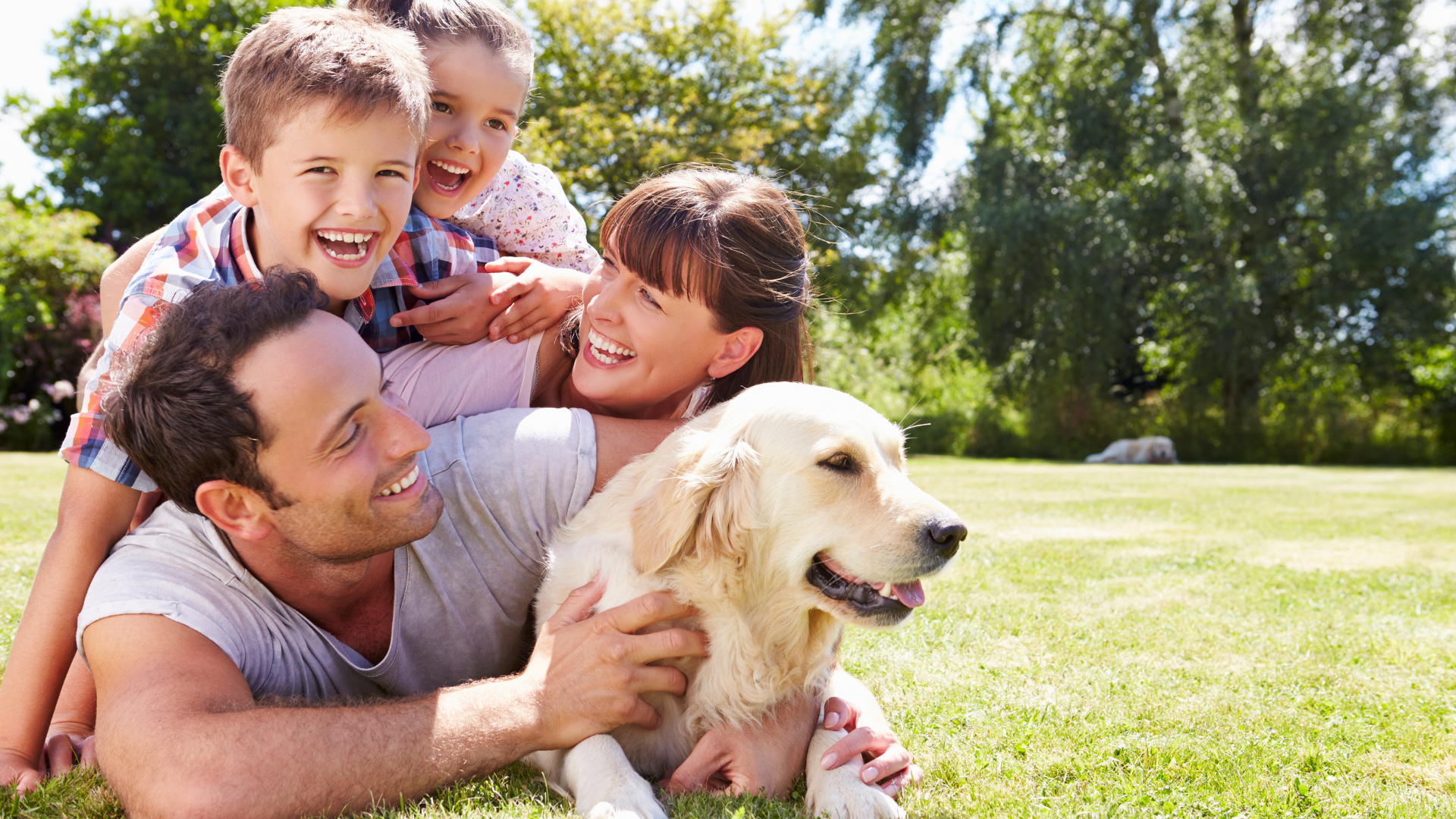 Pet-Safe Pest Control Solutions for Your Yard