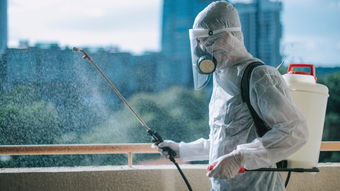 Lakeland Natural Pest Control Spray | Superior Spray | FL