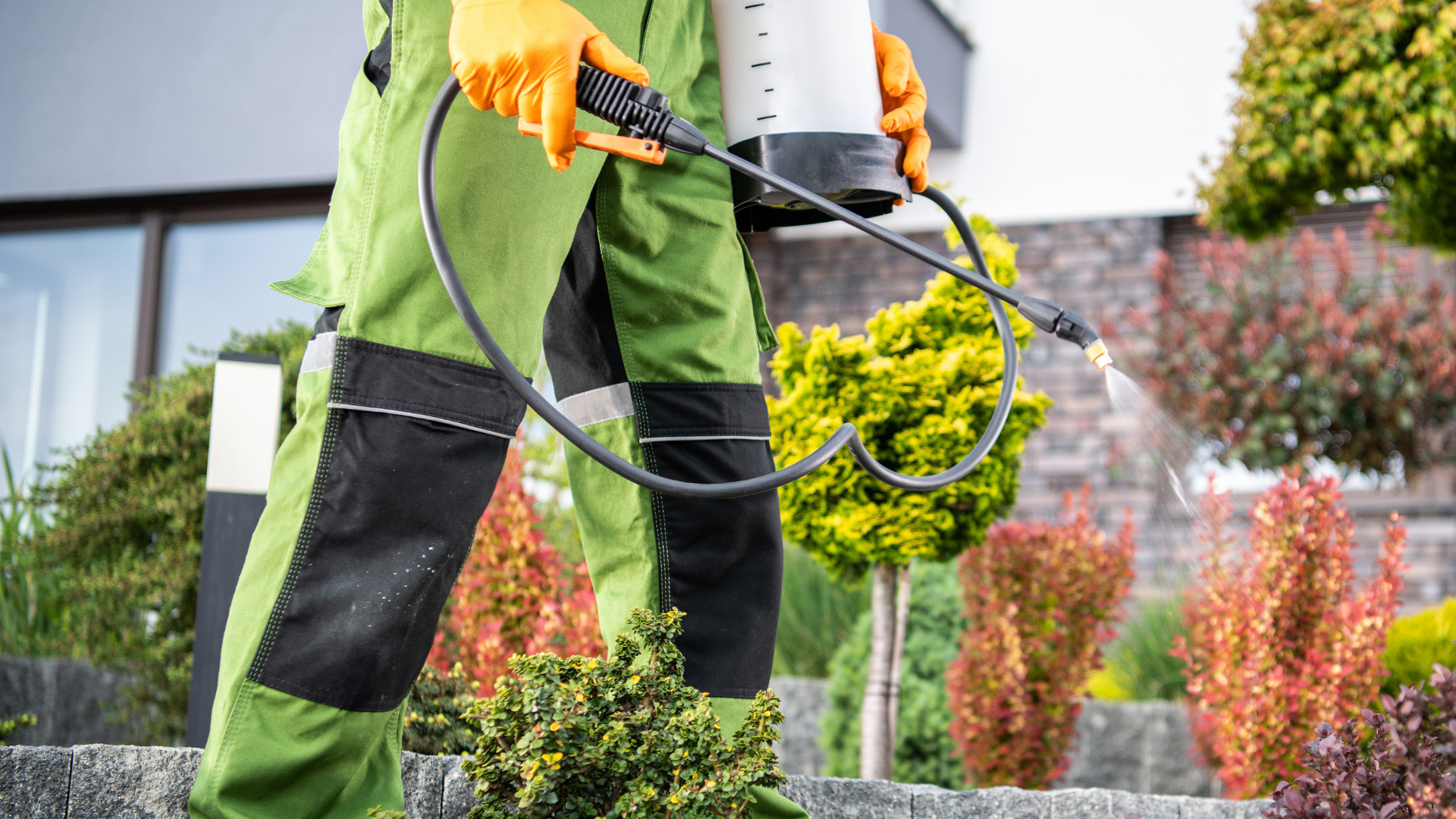 Preventing Pests as Temperatures Drop in Florida