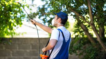 Lakeland Natural Pest Control Spray | Superior Spray | FL