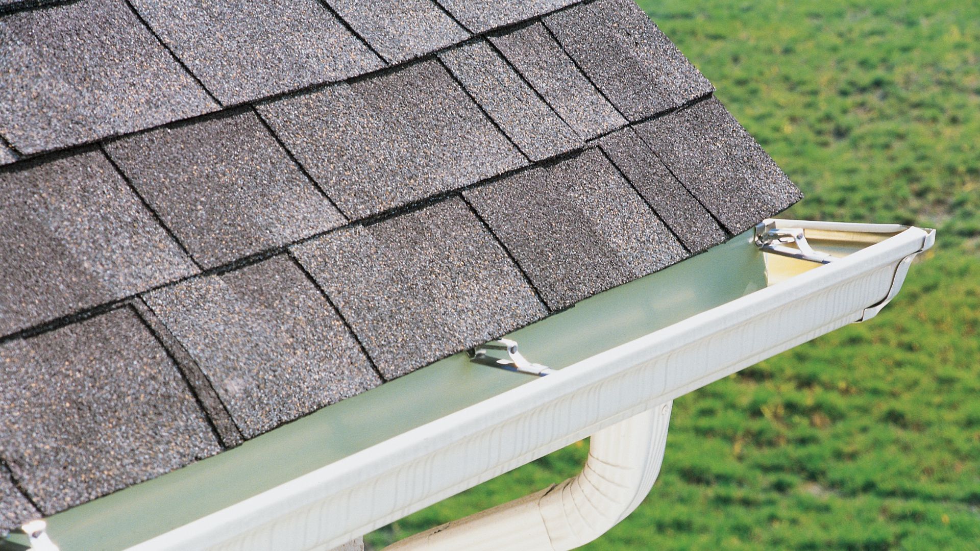 The Role of Clean Gutters in Pest Prevention