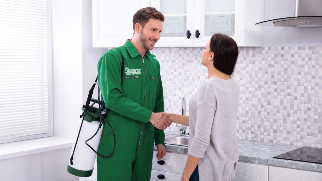 How To Find The Best Pest Control Service Near Me