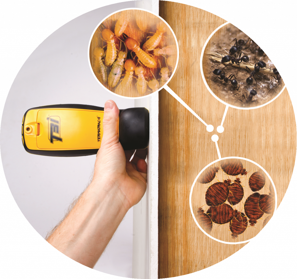 Why Every Termite Inspection Needs Termatrac - Superior Spray