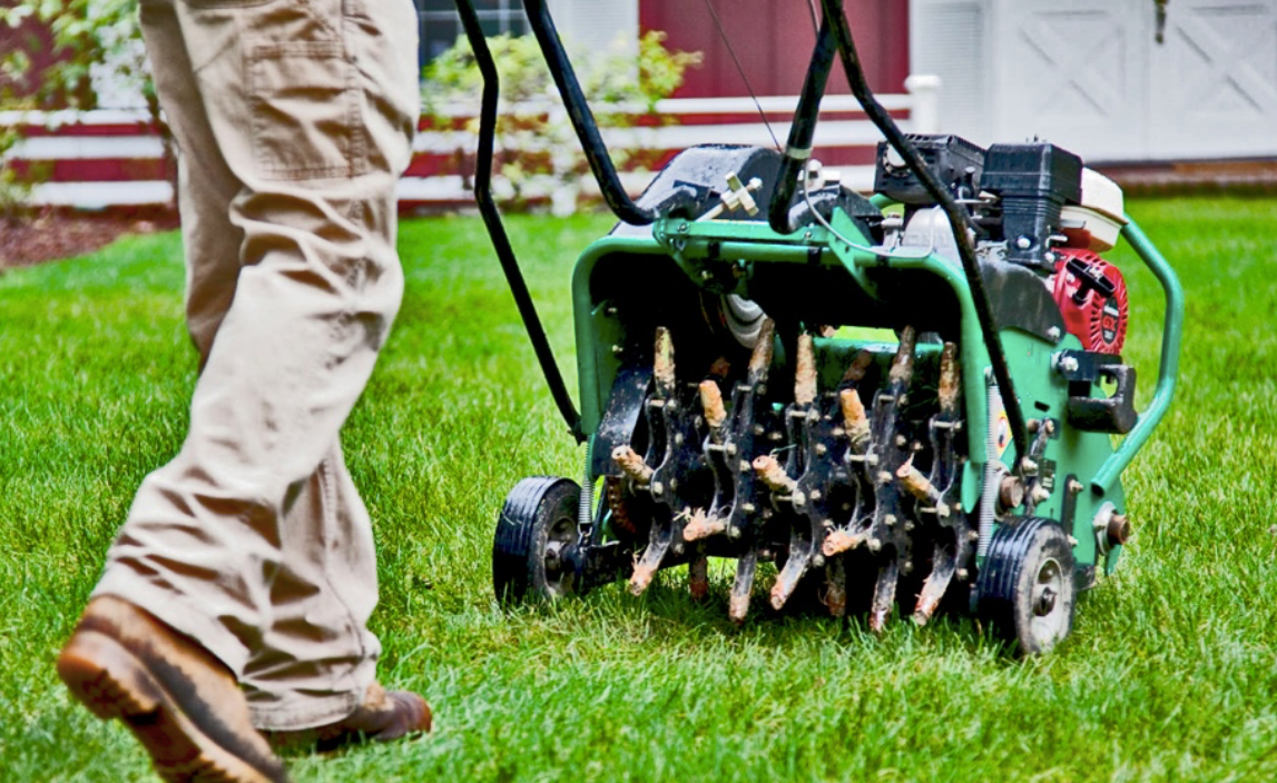 Lawn aeration by Superior Spray Service - Lakeland Florida