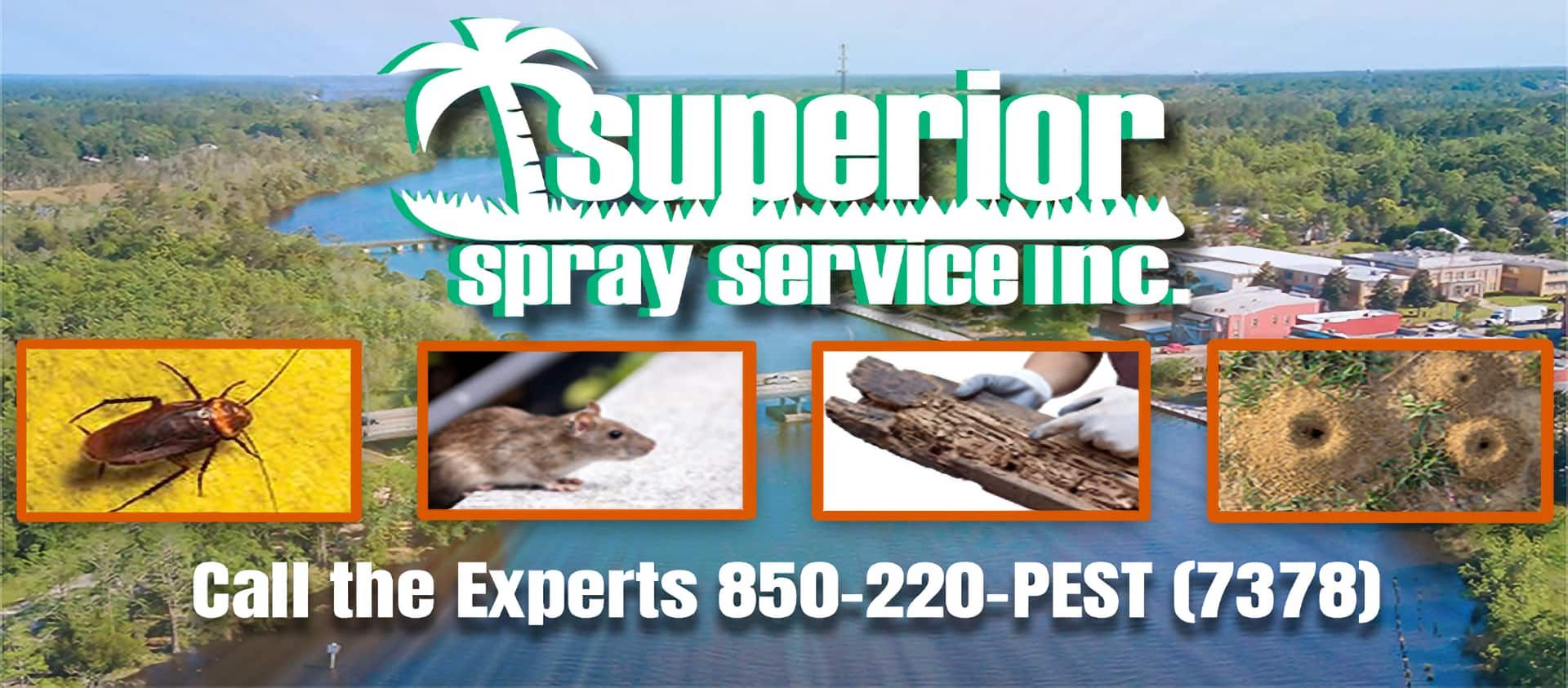 Pest Control Services - Pest Control Treatment in Florida - Image of Home Protection