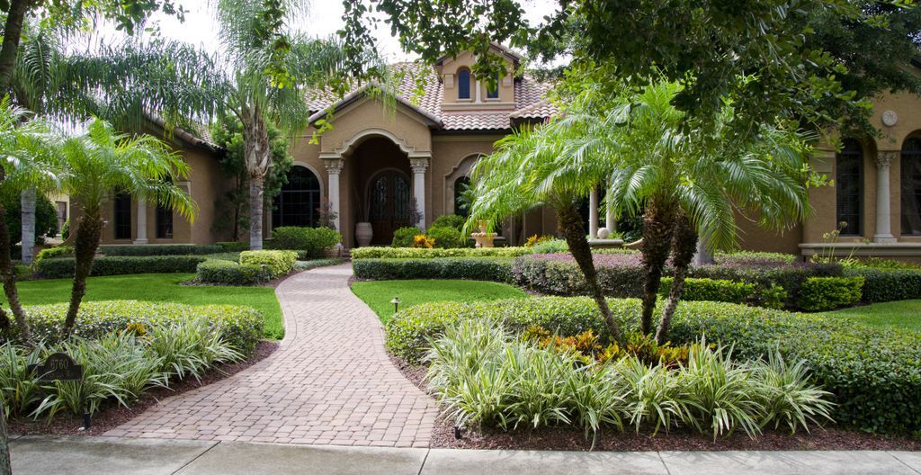 Pest Control Services - Pest Control Treatment in Florida - Image of Landscaping