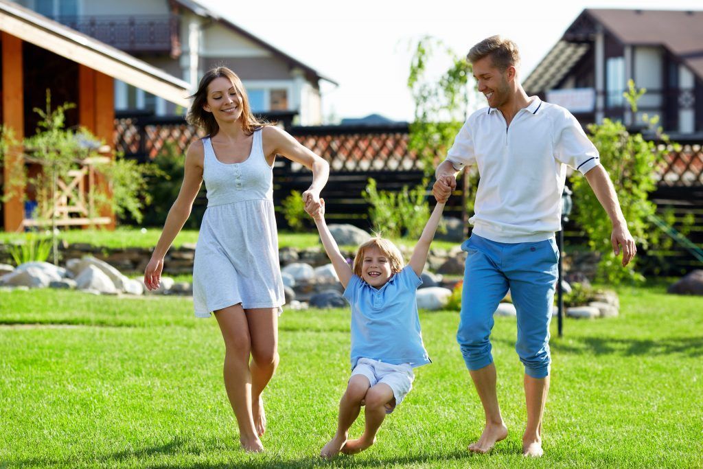 Professional Lawn Maintenance vs. DIY