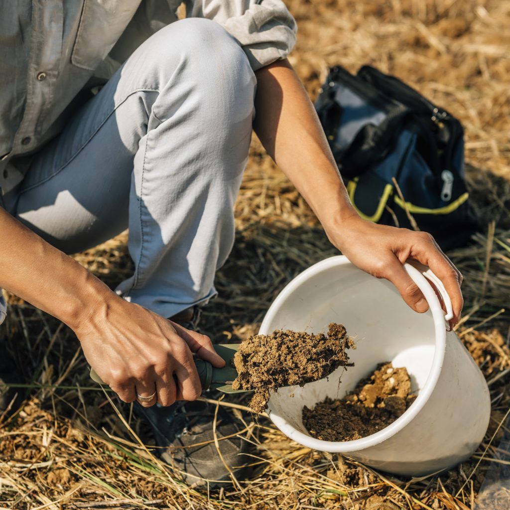 Pest Control Services - Pest Control Treatment in Florida - Image of Lawn