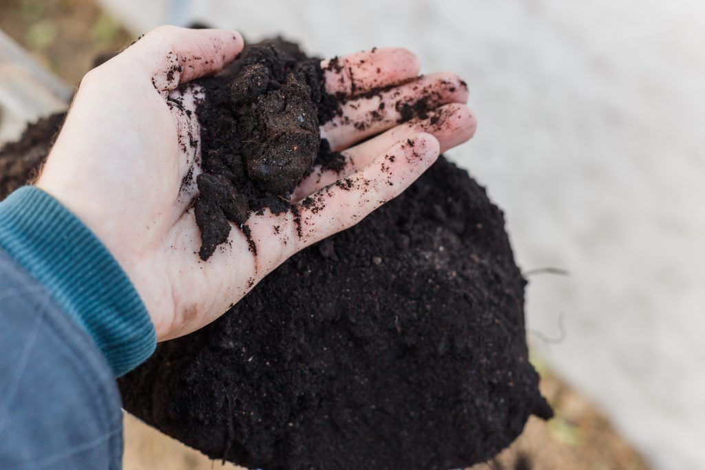 What Is Top Dressing and How Can It Help My Lawn?