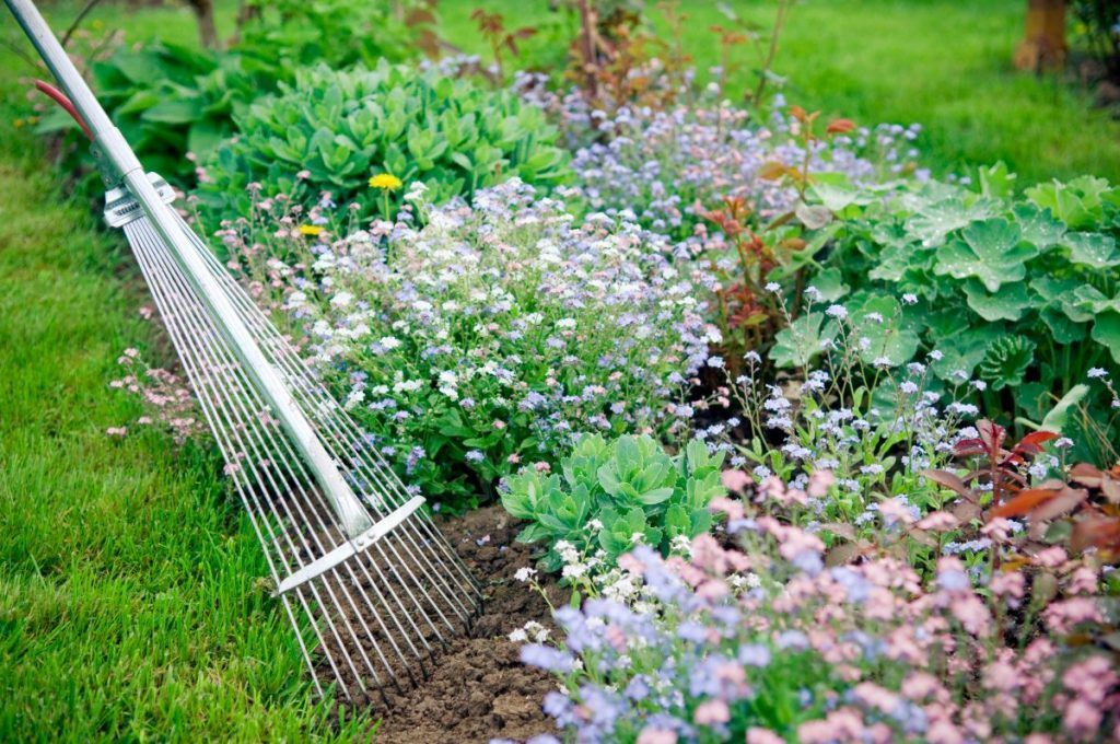 Pest Control Services - Pest Control Treatment in Florida - Image of Landscaping