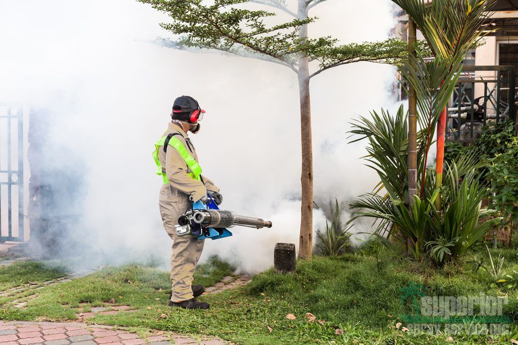 Pest Control Services - Pest Control Treatment in Florida - Image of Landscaping