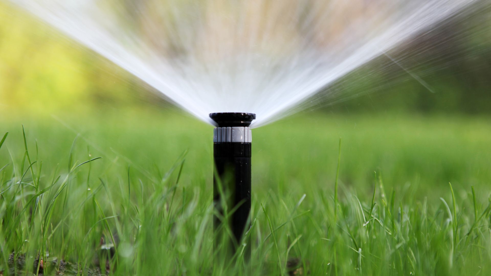 Beyond the Sprinklers: Why a Professional Irrigation Assessment is Key to a Thriving Lawn