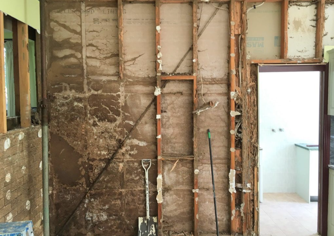 How To Save Your Home From Termite Destruction