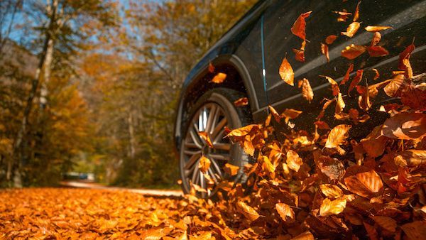 Car tire driving through orange autumn leaves on a tree-lined road | Jeff's Automotive, Inc