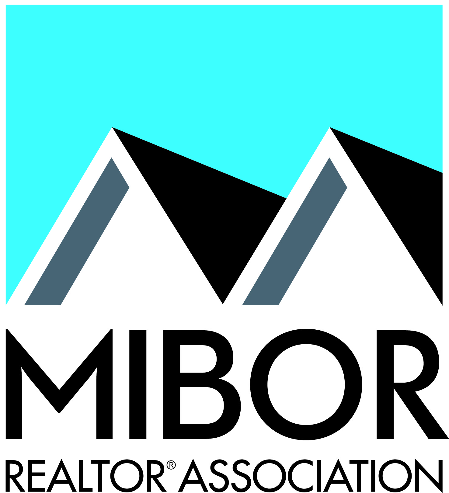 MIBOR Realtor Association logo with teal background and stylized rooftops