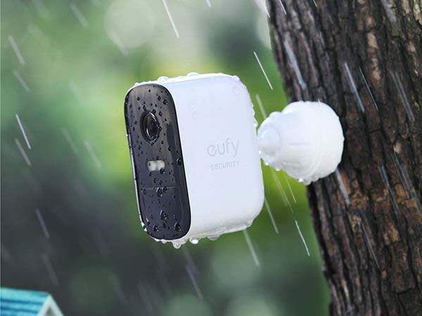 A eufy security camera mounted on a tree trunk in the rain.