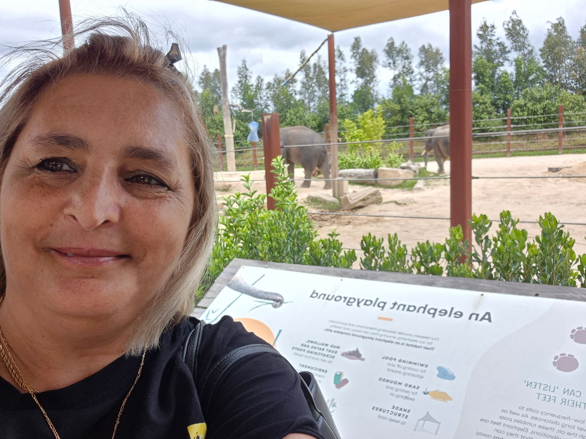 Featured HHAI Member of the Month