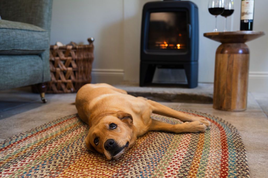 Golden retriever puppy lying on a woven rug by a fireplace in a cozy living room
