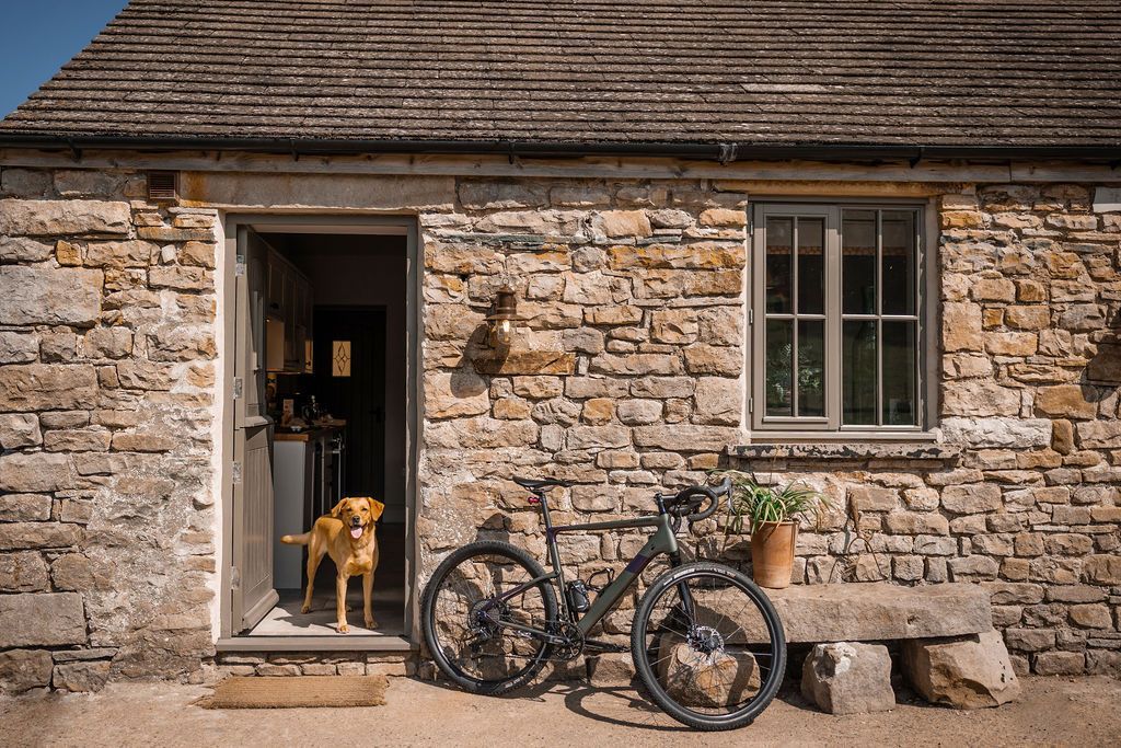 Stone cottage with two bicycles and two dogs by the open doorway.