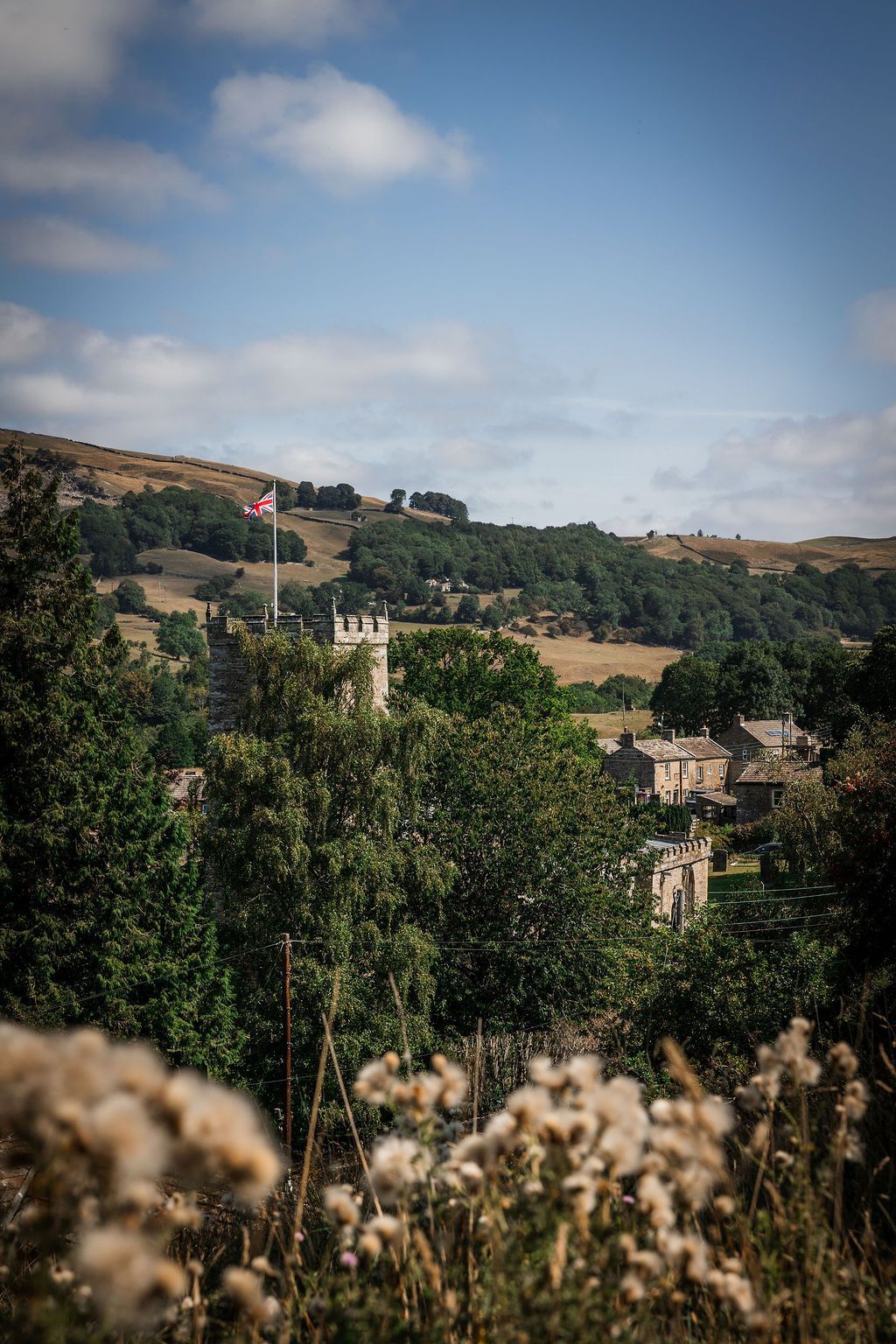 Green valley with trees, rolling hills, and a blue sky with clouds, viewed through foreground flowers