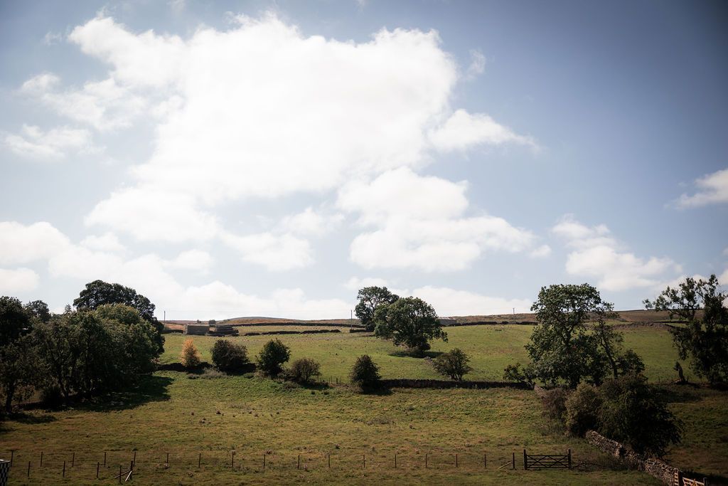 Grassy field with scattered shrubs under a cloudy sky and distant horizon