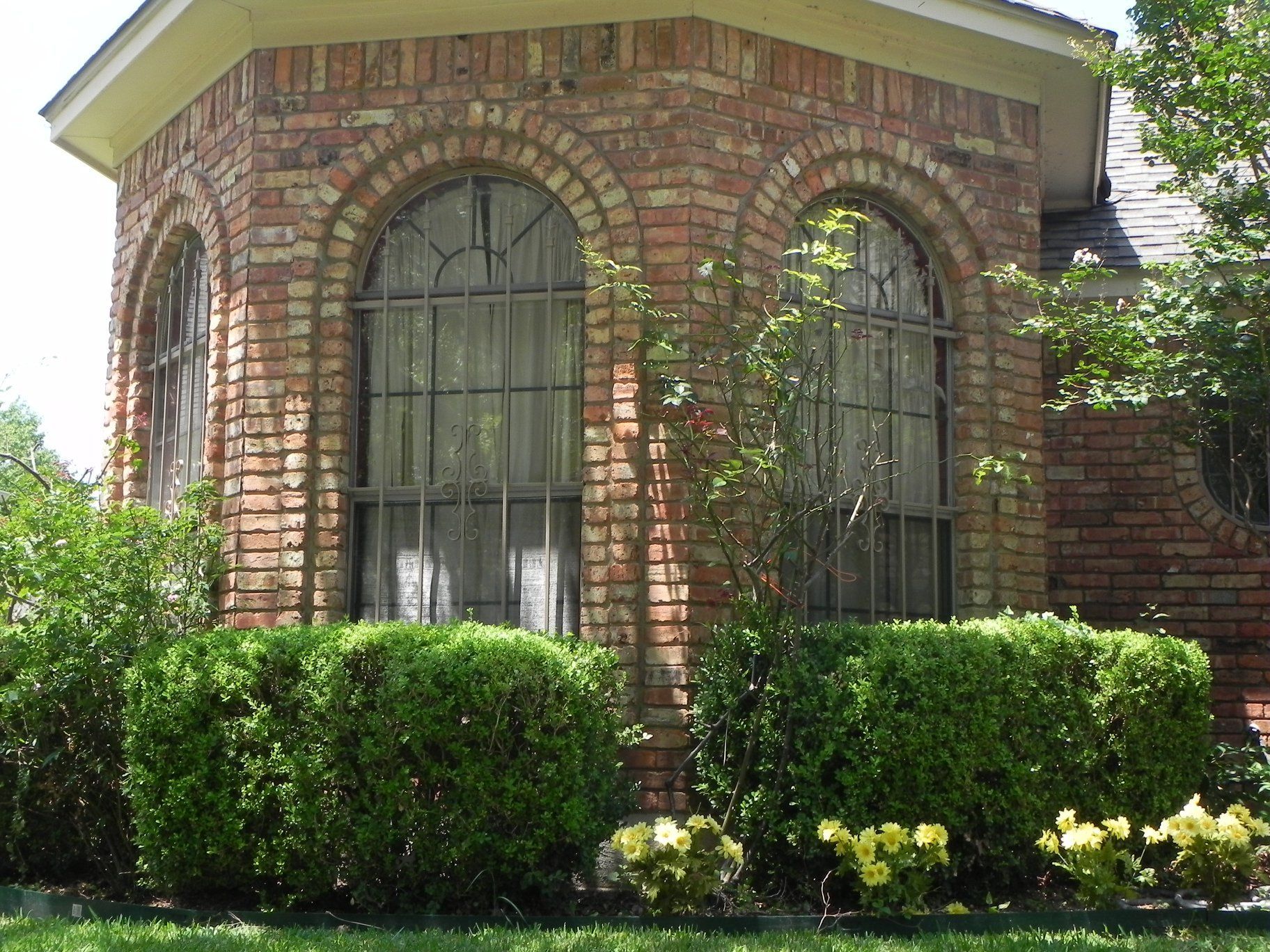 Client Window Protection - Dallas, TX - James Earl Jones LLC