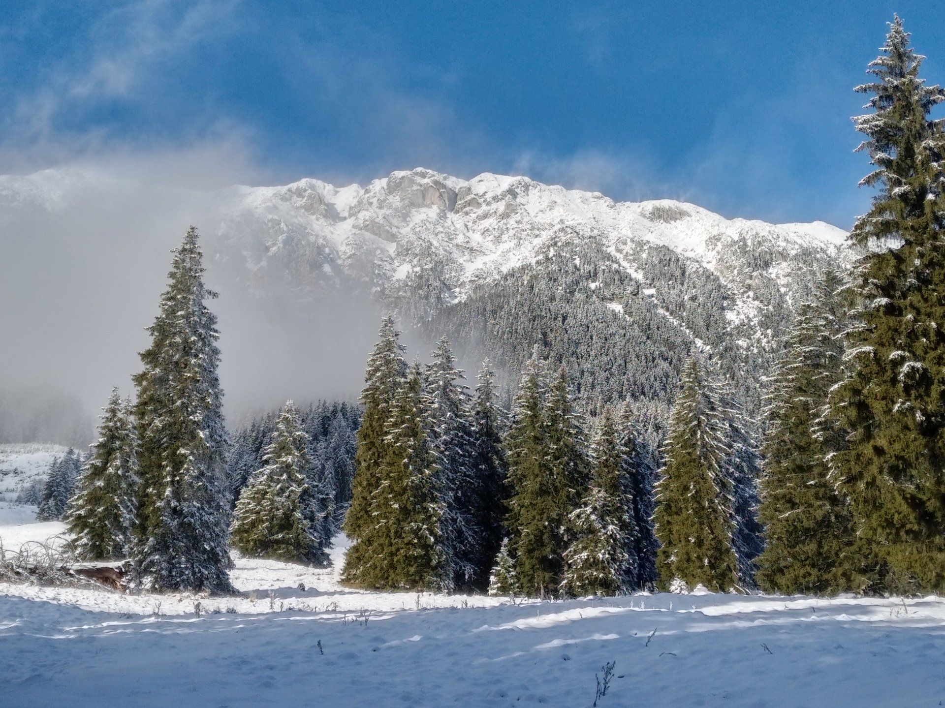 Piatra Craiului National Park winter hike