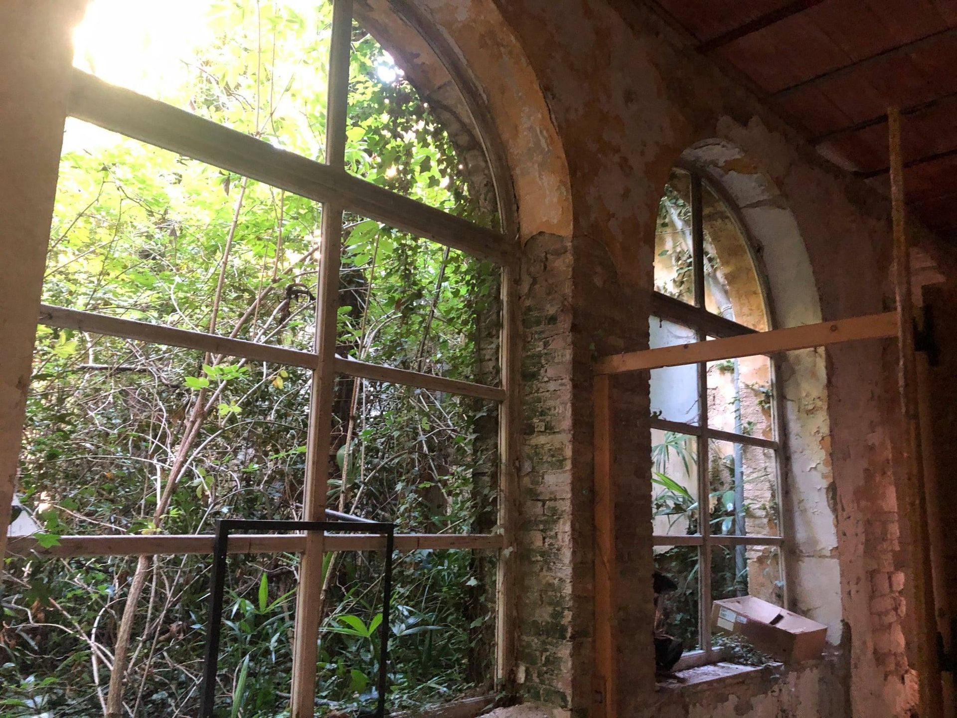 Una stanza con molte finestre e alberi sullo sfondo.