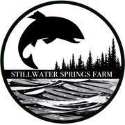 A black and white logo for stillwater springs farm with a fish jumping out of the water.