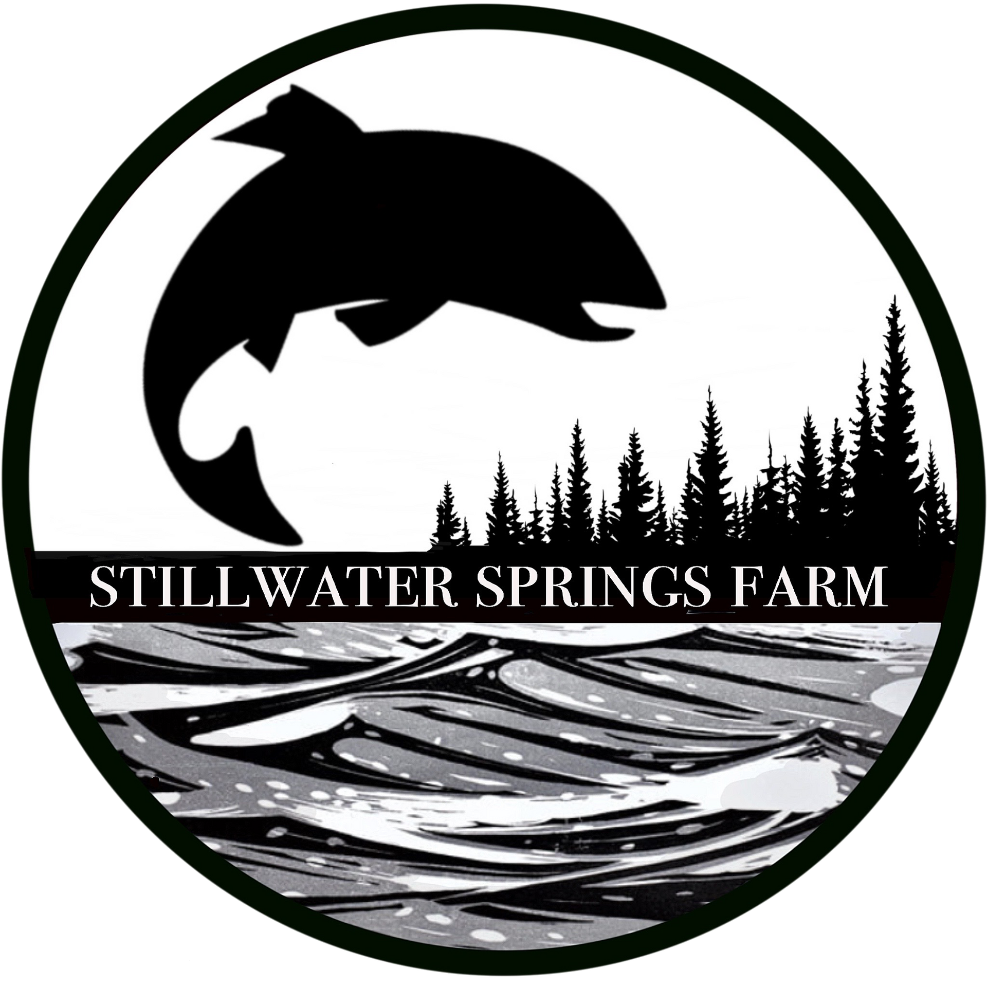 A black and white logo for stillwater springs farm with a fish jumping out of the water.