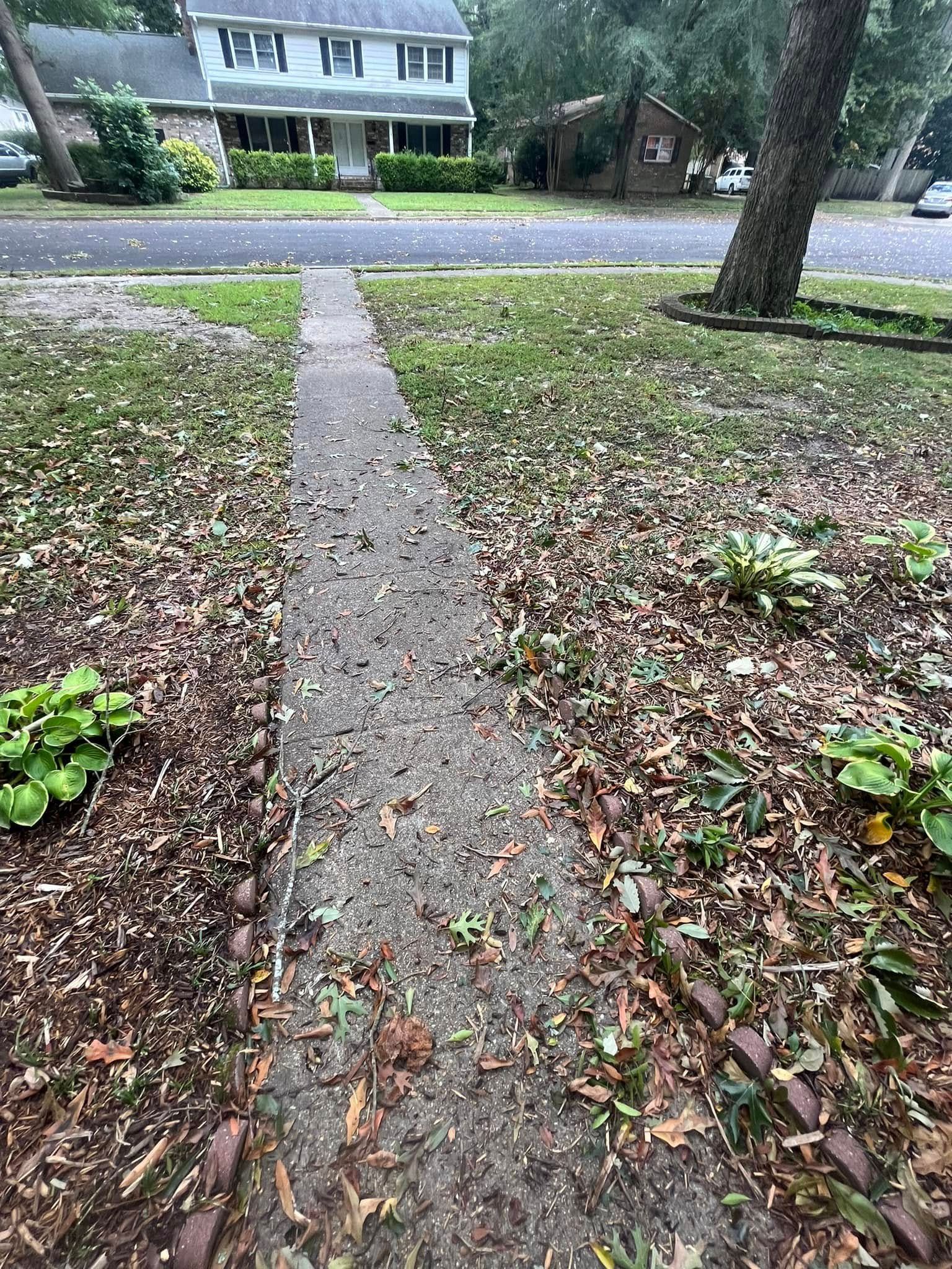 Narrow concrete walkway through a yard leading to a house across the street.