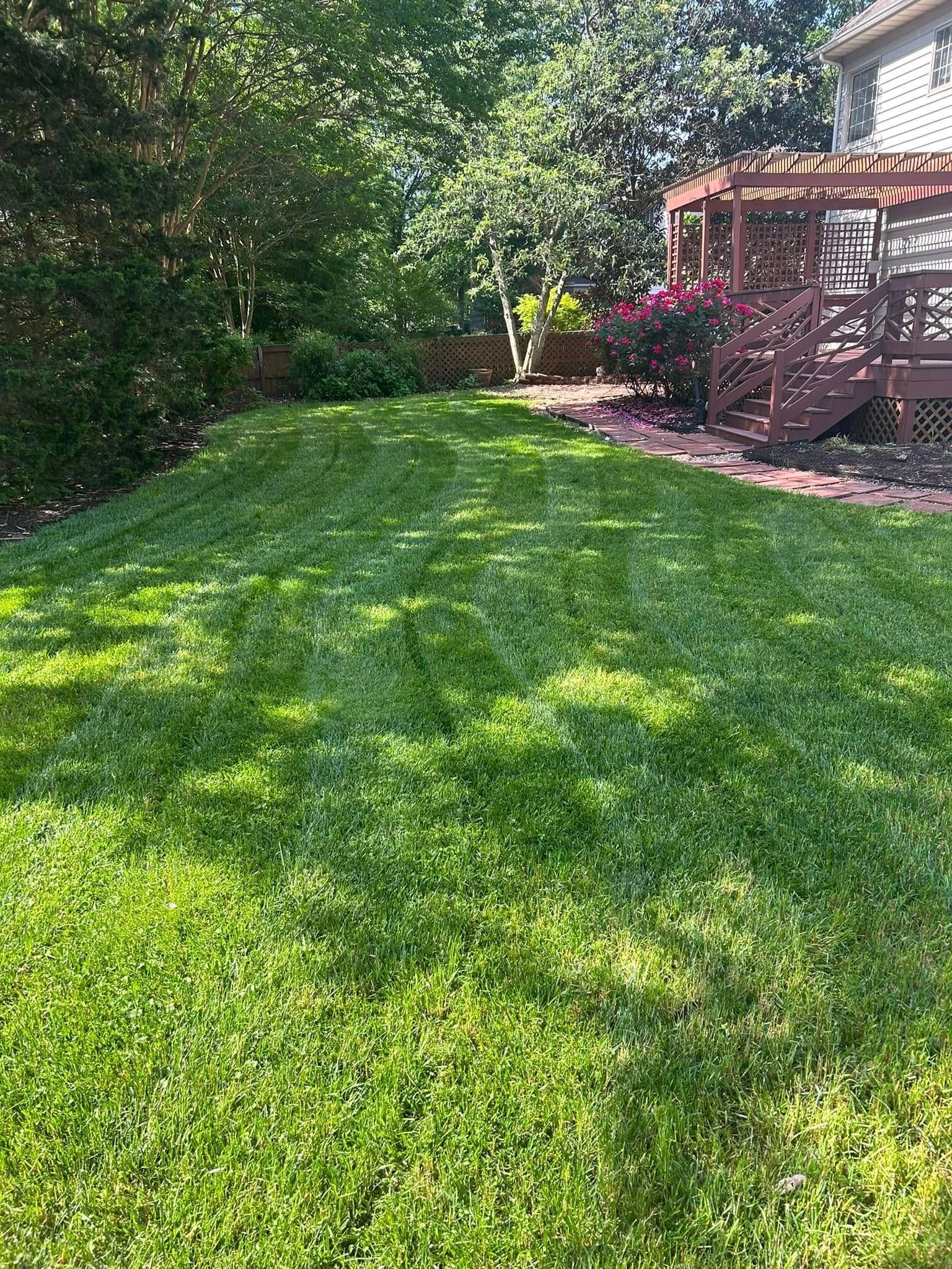 Sunlit backyard lawn with dense green grass, trees, and a wooden deck on the right.