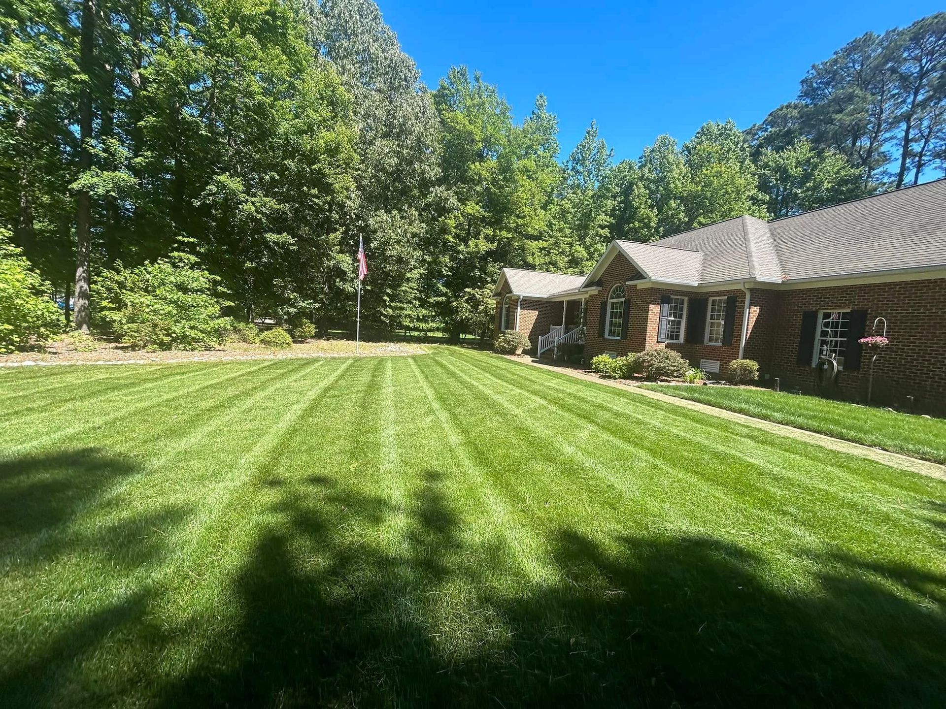 Sunlit striped lawn beside a house and trees under a bright blue sky
