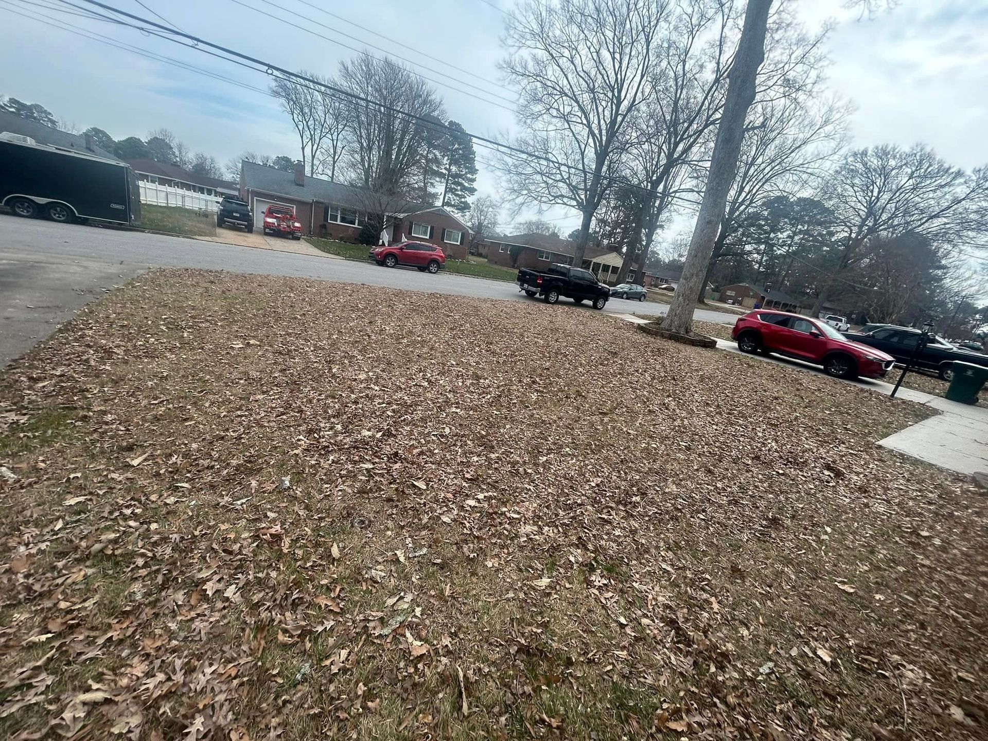 Leaf-covered grassy lot with several parked cars and leafless trees on a cloudy day