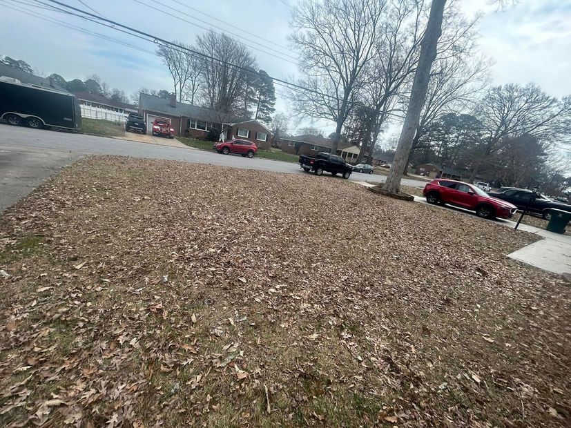 Leaf-covered grassy lot with several parked cars and leafless trees on a cloudy day