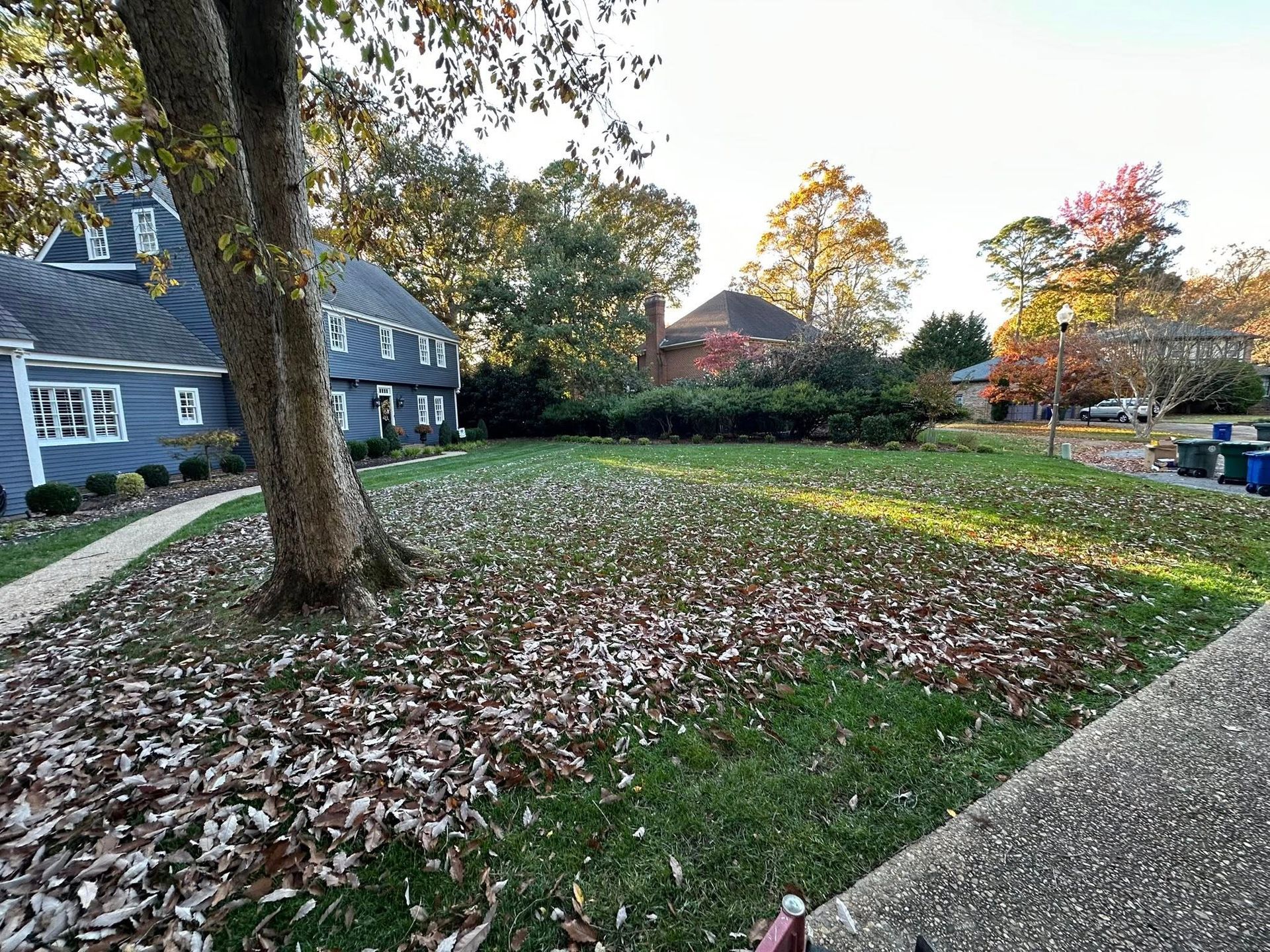 Leaf-covered suburban front yard with large tree, blue house, and fallen autumn leaves.