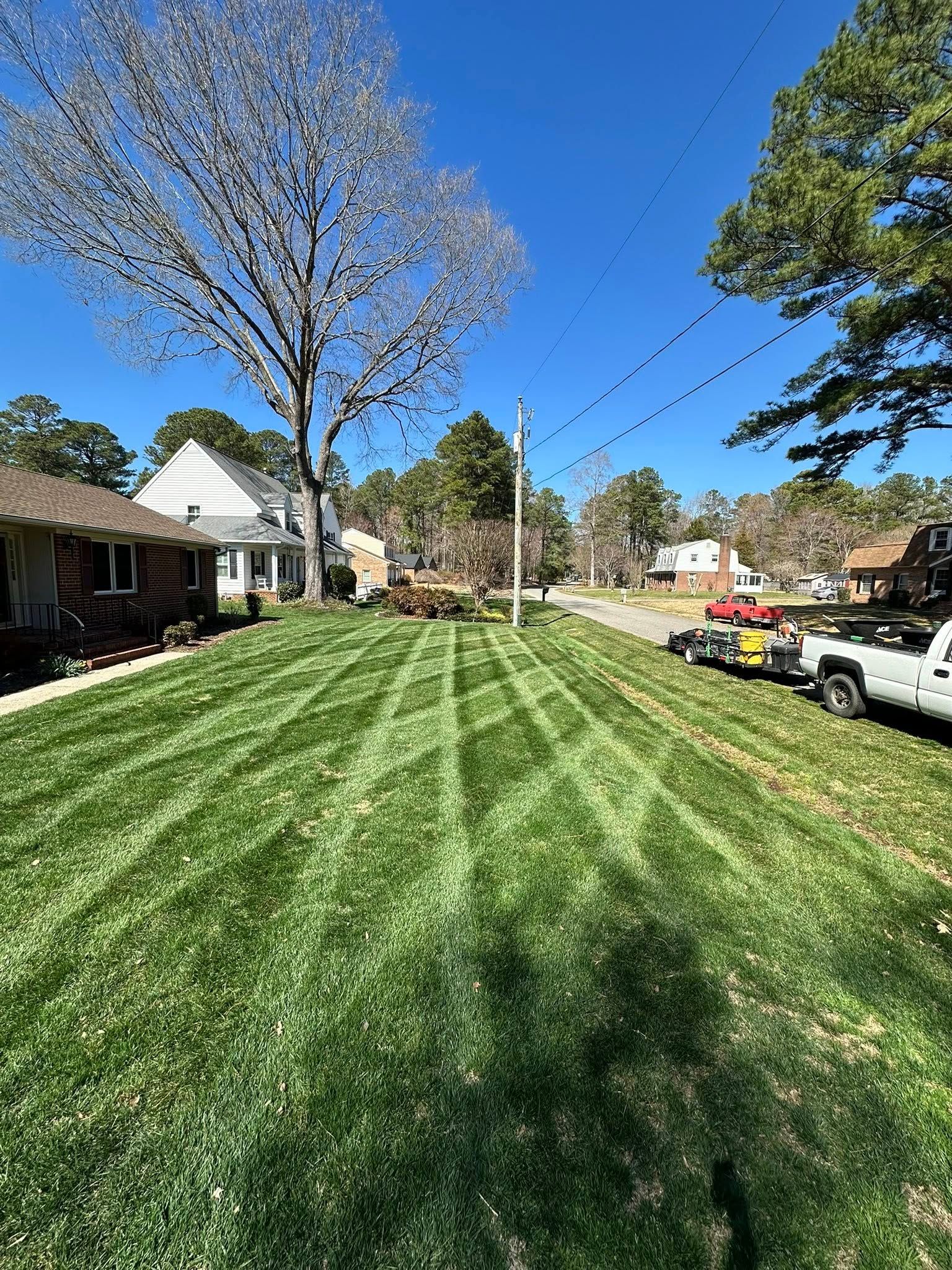 Suburban front yard with freshly mowed grass, houses, a large tree, and a parked truck on a sunny day