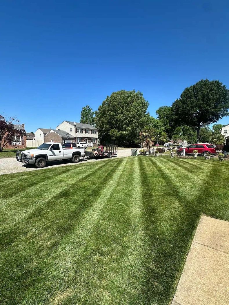 Striped green lawn in a suburban park with parked cars, trees, houses, and a bright blue sky.