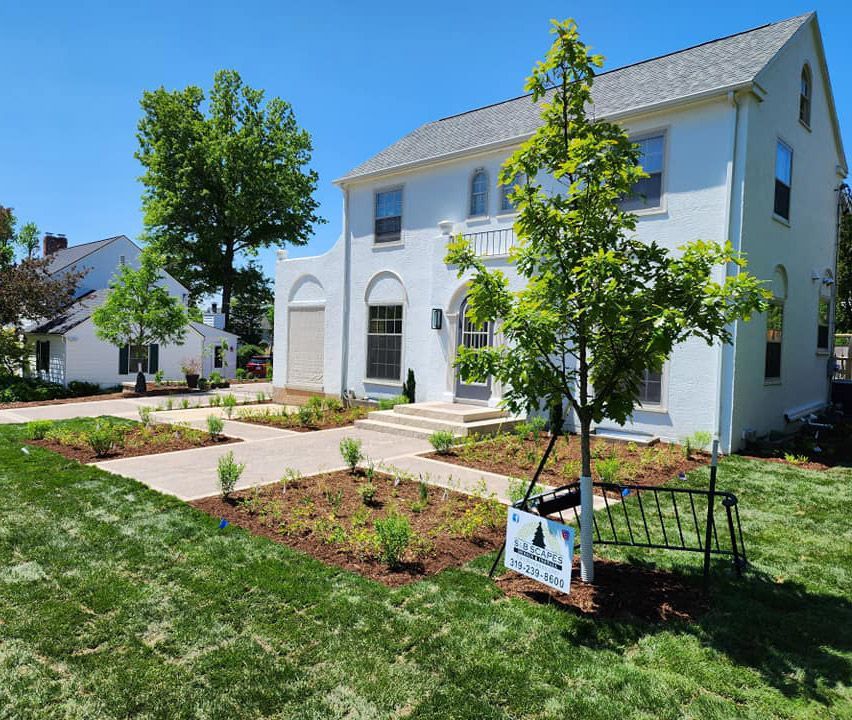 Trees — Marion, IA — S&B Scapes