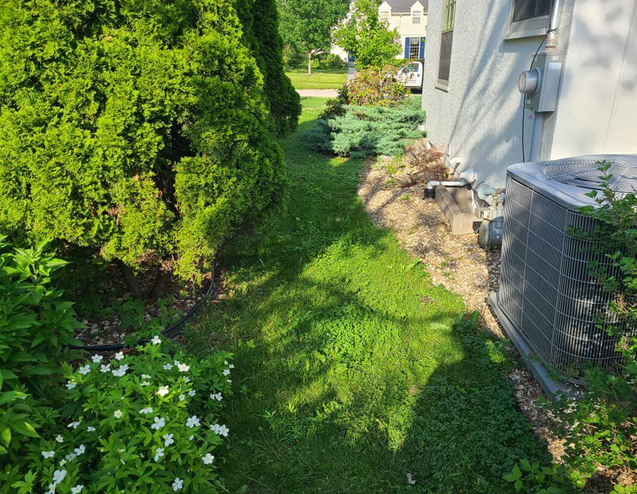 Shrubs — Marion, IA — S&B Scapes