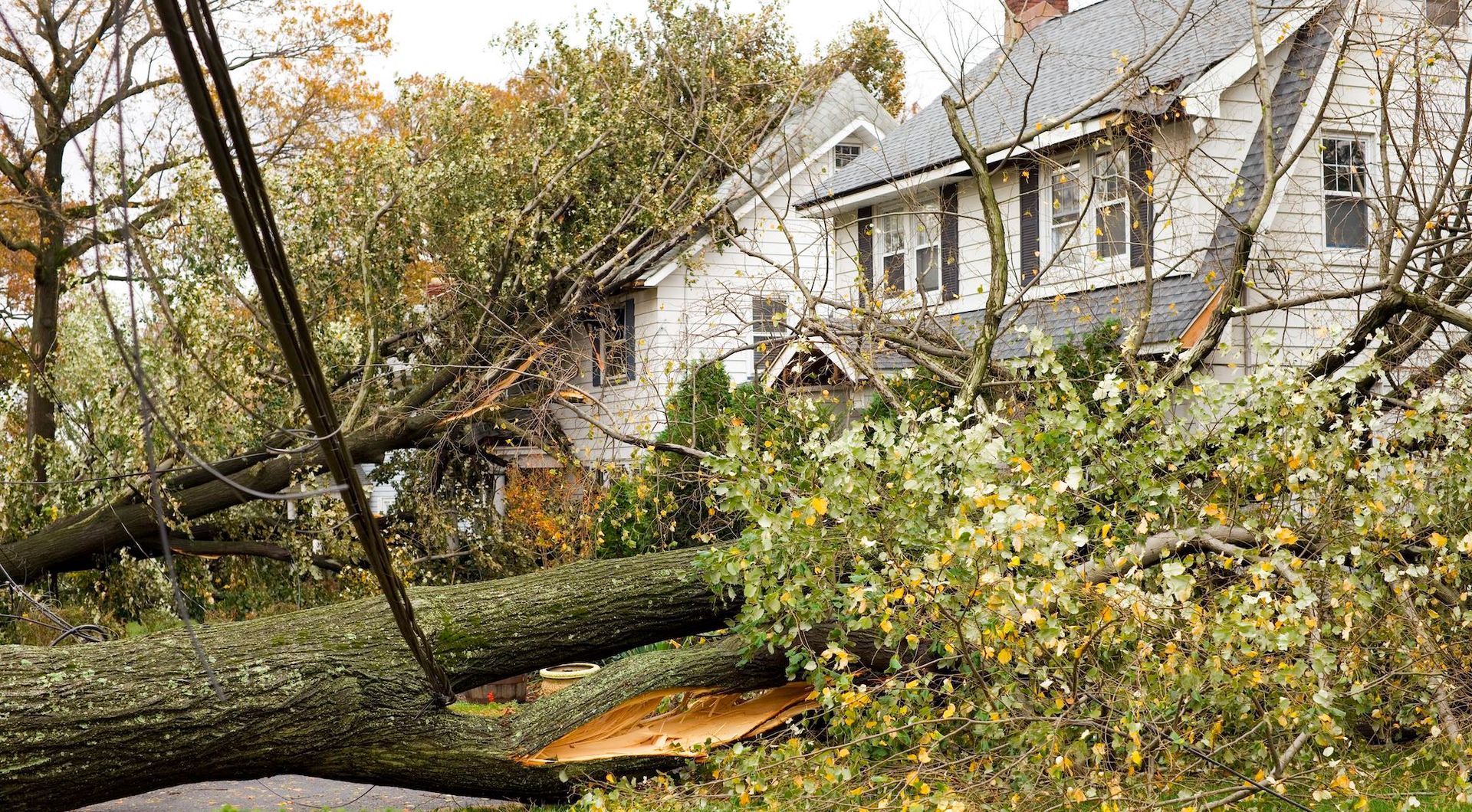 role of exterior doors in natural disaster preparedness