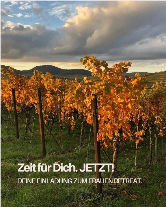 Neuer Termin im Frühjahr 2027. Melde DIch gerne bei Interesse!