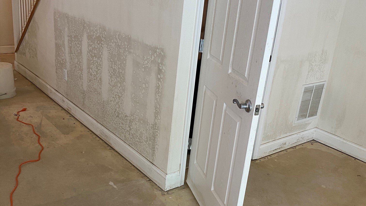 How To Prevent Mold After A Flood