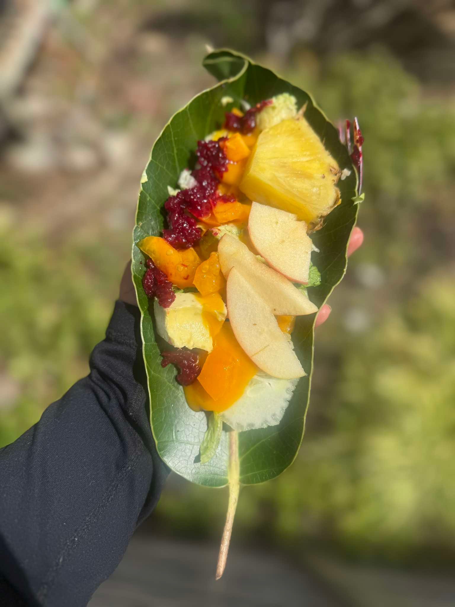 Hand holding a leaf filled with colorful fruit skewers, including pineapple, apple, and orange slices, against a blurred outdoor background.