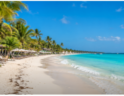 Tropical beach with white sand, palm trees, and turquoise water under a clear blue sky