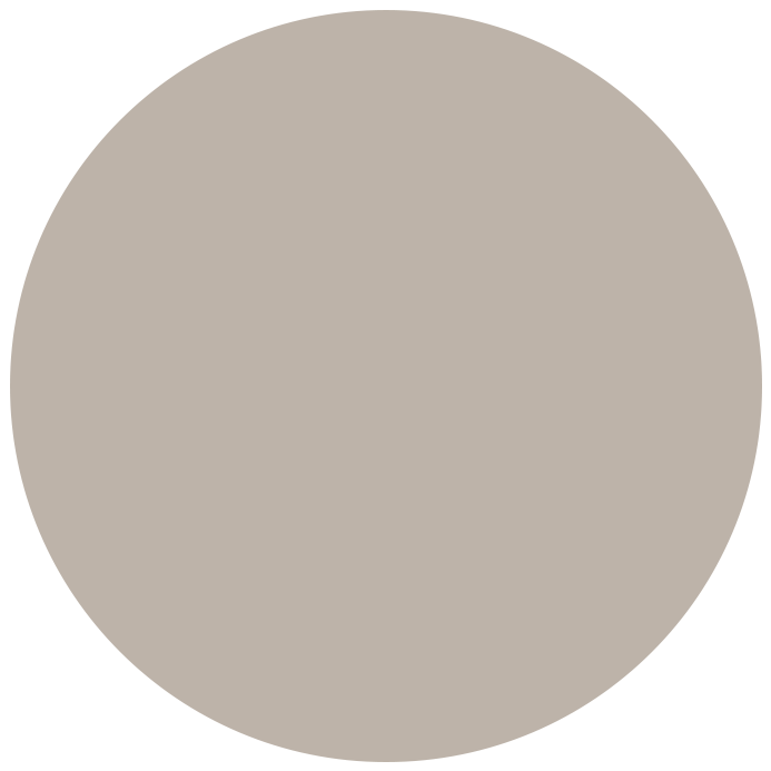 Colorbond Dune® Matt finish
